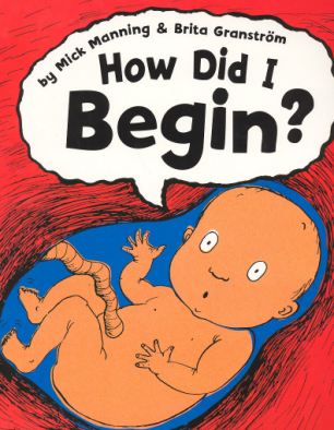 How Did I Begin? by Mick Manning and Brita Granstrom