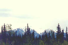 Alcan Scenery