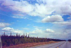 Former Forest Fire Area 