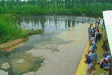 wedding of the Chena and Tanana Rivers