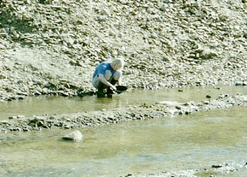 Felix Pedro's mining claim